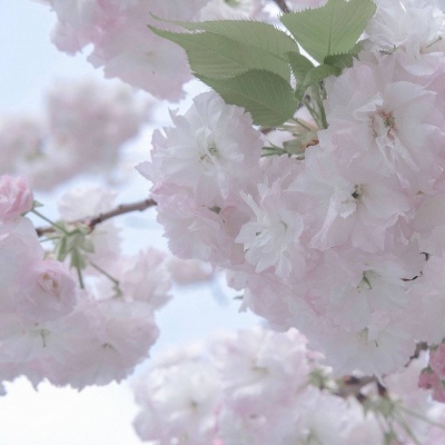 Furry插画风格灵感兽圈社群